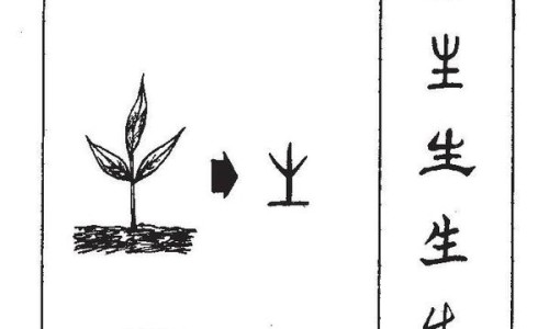 苹果的吃法大全简单-苹果的吃法大全集网—知名的苹果的吃法及做法大全网站,分享苹果怎么吃好吃法大全知识