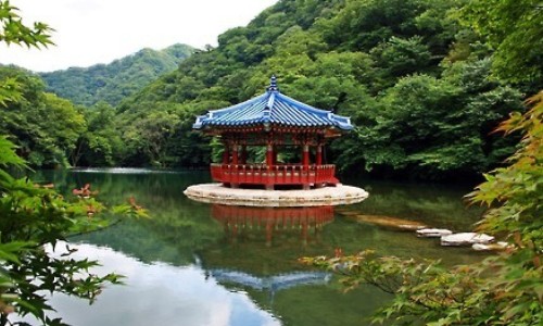 苹果的吃法及做法大全-苹果的吃法大全集网—知名的苹果的吃法及做法大全网站,分享苹果怎么吃好吃法大全知识